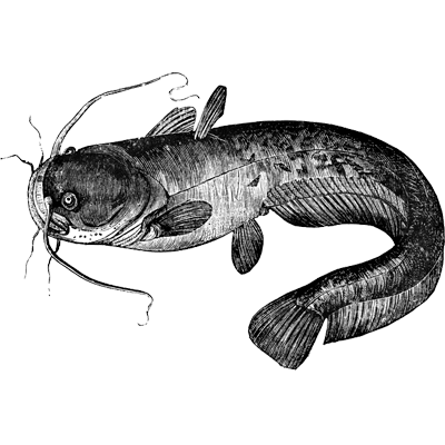 testaccount1 profile image